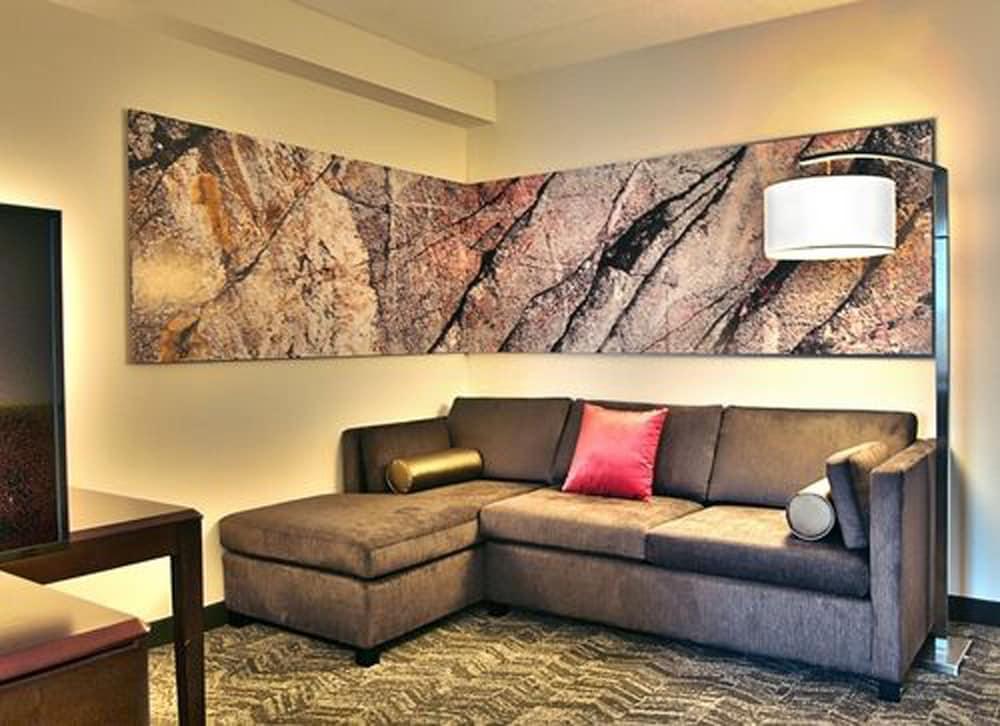 Springhill Suites Louisville Airport מראה חיצוני תמונה